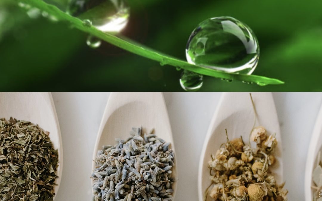 Faites germer la nature qui est en vous